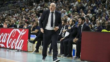 01/11/19 PARTIDO BALONCESTO BASKET 
 EUROLEAGUE EUTOLIGA REGULAR SEASON ROUND 6 
 REAL MADRID - ALBA BERLIN 
 PABLO LASO