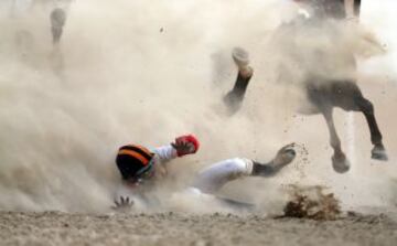 Un jinete y su caballo caen durante una competición de caballos árabes de pura raza en el 'Mazayin Dhafra Camel Festival' a 150 kilómetros de Abu Dhabi, capital de los Emiratos Árabes Unidos.