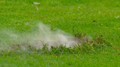 Varias bombas provocan la suspensión del Colón-Vélez