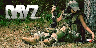 DayZ, Impresiones