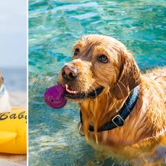 Estos son los mejores productos para mantener a tu mascota fresca este verano