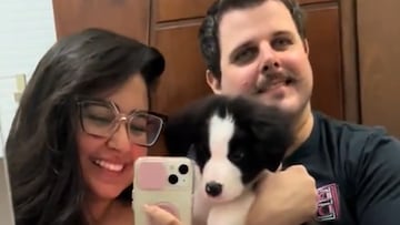 Una pareja adopta un perro mestizo sin saber lo especial que sería: al crecer consigue la mezcla perfecta