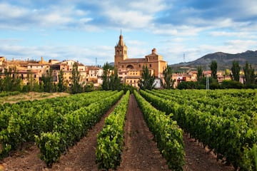 En la foto, Briñas, municipio de la comunidad autónoma de La Rioja situado en el noroeste de la provincia, entre la sierra del Toloño y en la margen izquierda del río Ebro. Pertenece a la comarca de Haro.