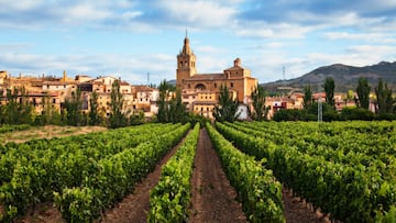 El enoturismo, al alza: los mejores países para los amantes del vino