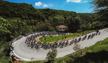 El pelotón durante la decimonovena etapa del Giro de Italia. 