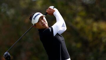 As the 2024 LPGA Tour draws to a close at Tiburón Golf Club in Naples, Florida, there’s a tasty prize pot on offer.