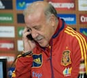 Del Bosque: 'Tenemos que llevar adelante la ilusión de la gente'