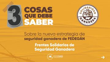 ¿Qué son los Frentes Solidarios de Seguridad Ganadera y quién los apoya?