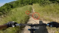 Un biker se topa con dos cr&iacute;as de oso.