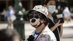 A visitor wearing a protective mask and sunglasses at the Walt Disney Co. Shanghai Disneyland theme park in Shanghai, China, on Thursday, June 30, 2022. Shanghai Disneyland reopened with limited capacity and enhanced health and safety protocols after a months-long shutdown because of the coronavirus. Photographer: Qilai Shen/Bloomberg via Getty Images