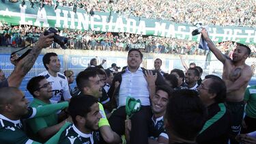 Verdes como los pinos...