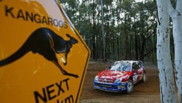 <b>EN SU LÍNEA</B>. Sainz busca auparse hasta las primeras posiciones en Australia.
