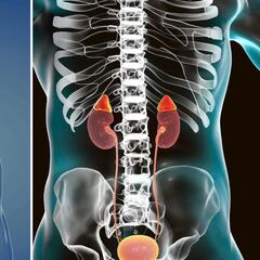 Cofepris alerta por Barmicil: ¿por qué pude provocar el Síndrome de Cushing?