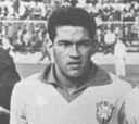 El fútbol brasileño cumple 30 años sin la magia de 'Garrincha'