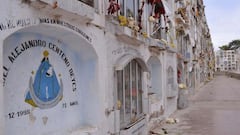 Feriado de Todos los Santos hoy domingo: ¿rige la inmovilización social obligatoria y cuáles son los horarios?