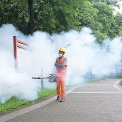 Un profesor alerta de los ‘virus maleta’ que se extienden por Europa y España es uno de los países en el punto de mira