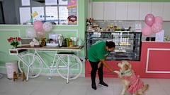 What are the best deals, discounts and freebies for National Donut Day 2022?