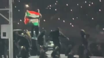 Protester waves Palestinian flag during Kendrick Lamar’s Super Bowl halftime show