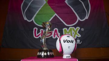 El récord de asistencia para un partido de la Liga MX Femenil se romperá este viernes, durante la Final del Torneo Apertura 2017 entre tapatías e hidalguenses.