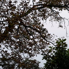 Why is the U.S. government facing shutdown if the Republicans have a majority in the House and Senate?