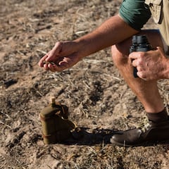 Detectores de metales topan con un tesoro vikingo en tierras noruegas: “Es sorprendente”