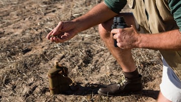 Hallazgos arqueológicos