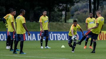 Selecci&oacute;n Colombia Sub 23 jugar&aacute; ante Brasil y Argentina 