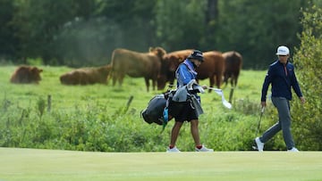 Golf y naturaleza se fusionan en el Open de Irlanda