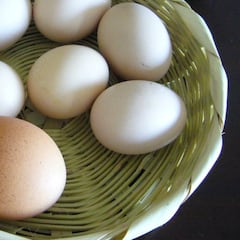 ¿Cuánto duran los huevos en el frigorífico?