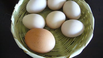 ¿Cuántos huevos podemos consumir a la semana?