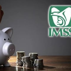 Pensión por invalidez IMSS: ¿con qué enfermedades puedes recibirla y de cuánto es el monto?