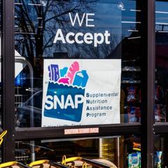 Programa SNAP en Nueva York: Qué beneficiarios recibirán el pago máximo de ayuda alimentaria y a partir de cuándo