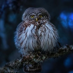 ¡Shhhhh! Consejos para hacer un reset mental y levantarte el lunes como nuevo