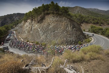 El pelotón durante la tercera etapa.