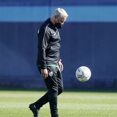 Sergio Pellicer: “Scepovic es otro soldado para el escuadrón”