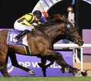Inusual empate en el meeting de la Dubai World Cup