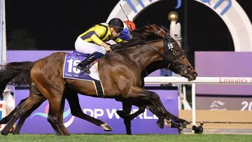 Inusual empate en el meeting de la Dubai World Cup