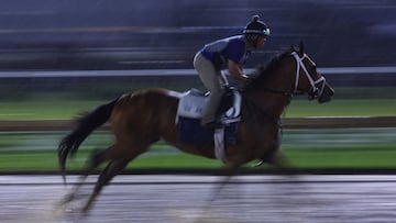 Ahead of this weekend’s 2024 Kentucky Derby at Churchill Downs, Louisville, we take a look at the price of owning and entering a horse in the race.