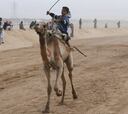 Carreras de camellos en el desierto