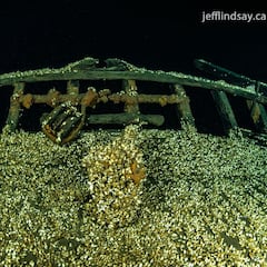 Buzos bajan a las profundidades de un lago y descubren un naufragio histórico aún en pie: “Totalmente intacto”
