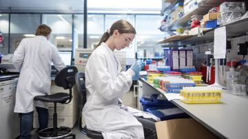 ¿Cuál es el escenario si no llega nunca la vacuna del coronavirus?