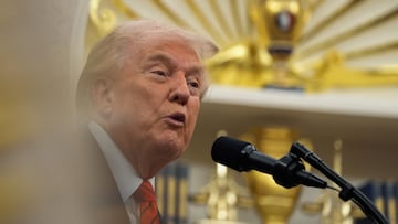 The 47th US President promised a lot of things that he hasn’t delivered on so far.