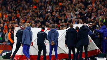 A member of the coaching staff collapsed during the game against the Netherlands.