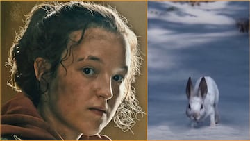 The Last of Us conejo