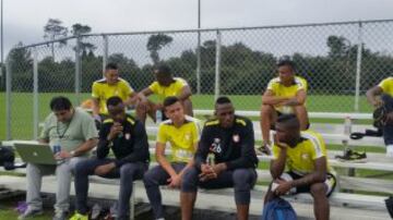 El equipo cardenal entrena y comparte con sus hinchas en el Wide World of Sports Complex de la ciudad de Deltona, Florida. 