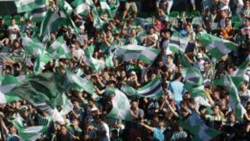 La afición verdiblanca.