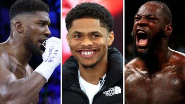 The 26-year-old superstar in the making Stevenson talked about the potential super heavyweight clash between AJ and Deontay Wilder.