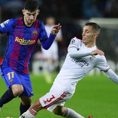 Un brote verde en Demir