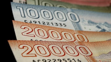 Subsidio Protege de enero: quiénes lo cobrarán y cuándo comenzarán los pagos