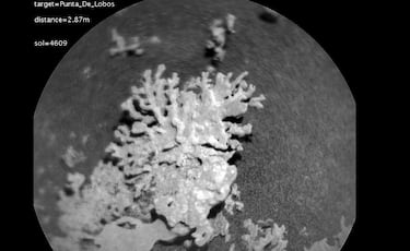 “Fascinante descubrimiento” del rover Curiosity de la NASA en Marte: plantea nuevas preguntas